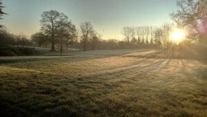 Frosty Sunny Morning